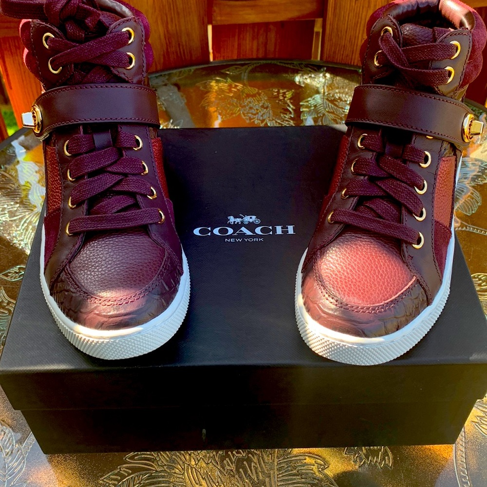Coach Shoes Pembroke